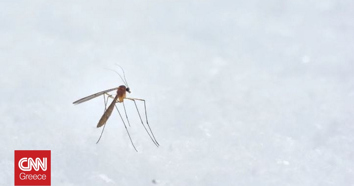 Ιός Δυτικού Νείλου: 180 κρούσματα και 27 θάνατοι