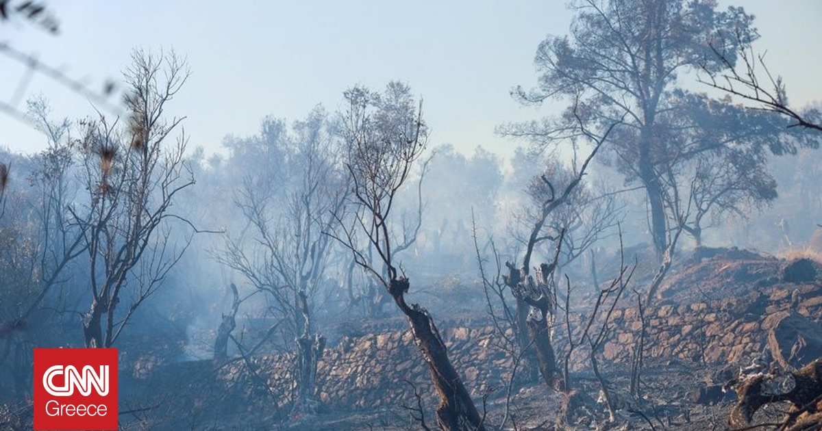 Στην Ηλεία το βασικό μέτωπο της φωτιάς – Μάχη με διάσπαρτες εστίες, αλλά βελτιωμένη εικόνα