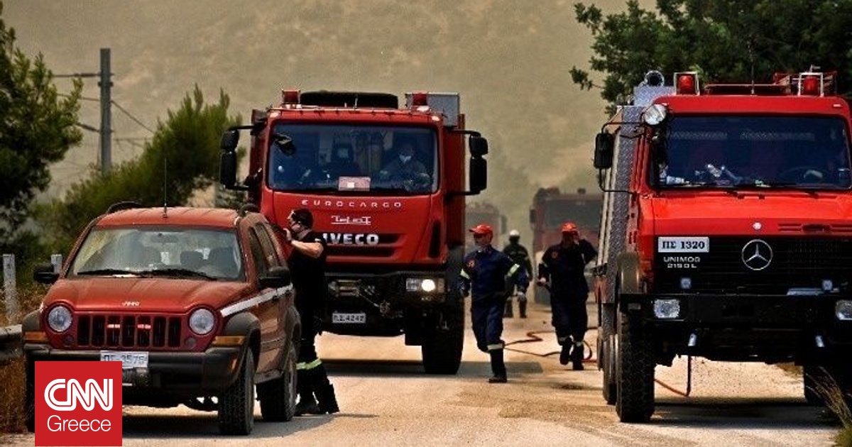 Φωτιά στη Δροσοπηγή Ωρωπού στα όρια με τον Διόνυσο - Επιχειρούν δυνάμεις της Πυροσβεστικής