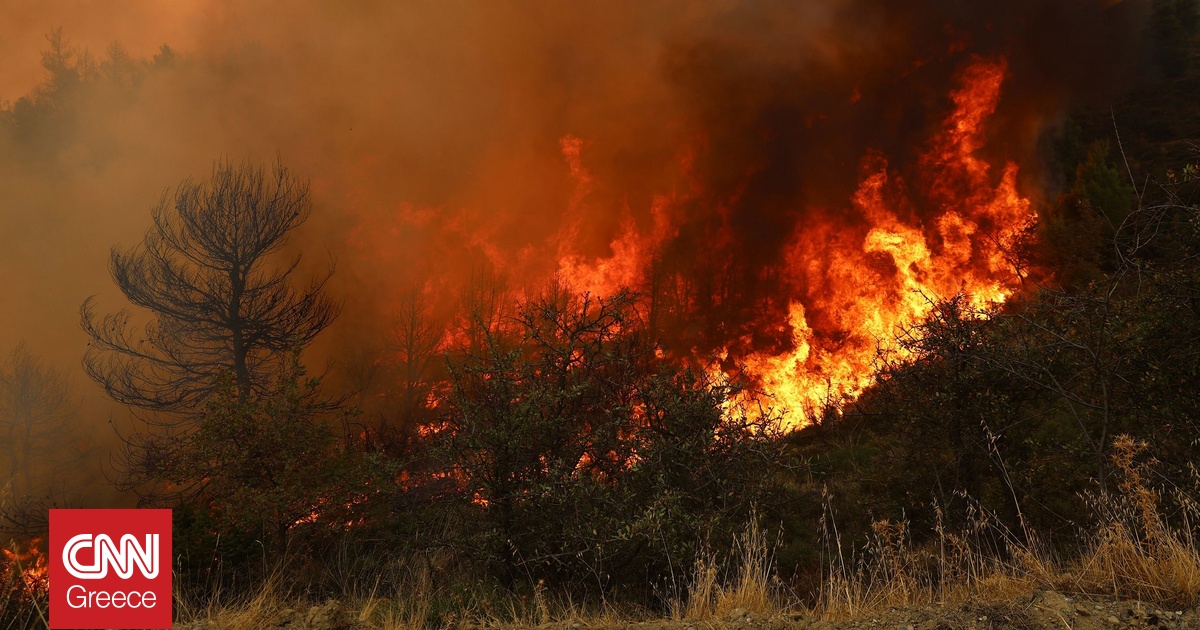Πολύ υψηλός κίνδυνος πυρκαγιάς την Πέμπτη – Στο «κόκκινο» έξι περιοχές Πολύ υψηλός κίνδυνος πυρκαγιάς την Πέμπτη – Στο «κόκκινο» έξι περιοχές