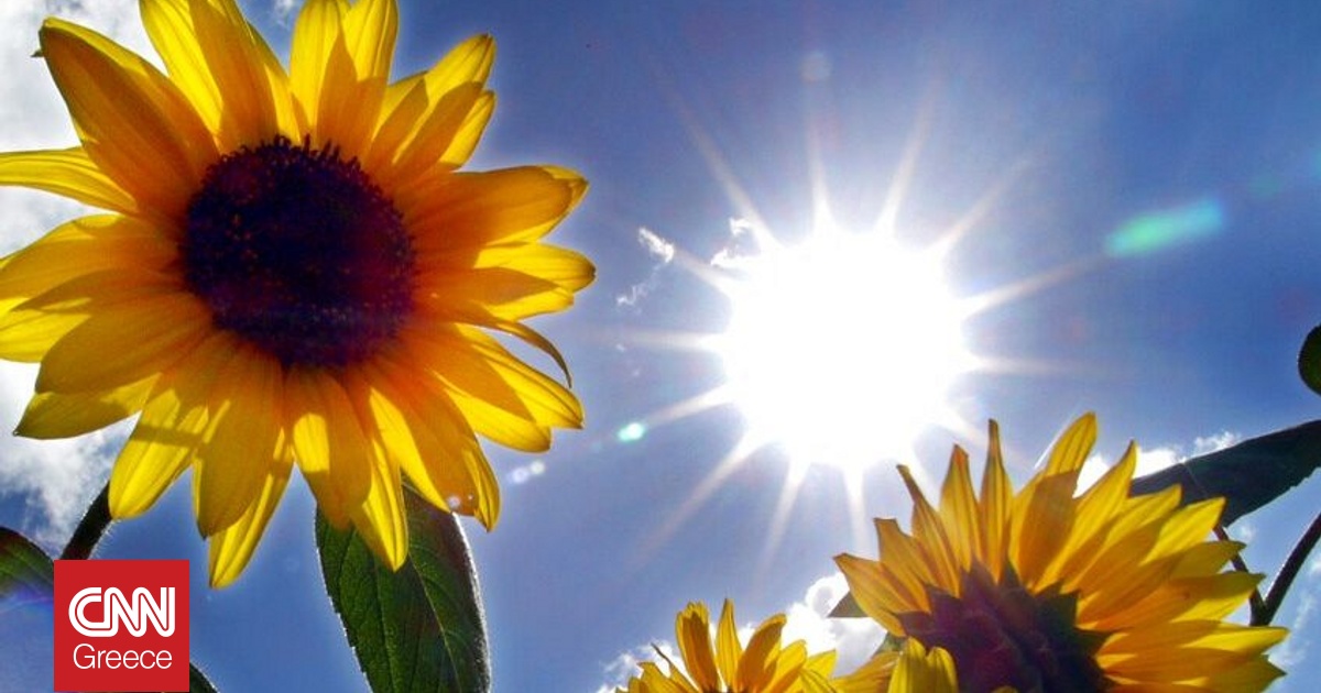 &Epsilon;&alpha;&rho;&iota;&nu;ή &iota;&sigma;&eta;&mu;&epsilon;&rho;ί&alpha;: &Pi;ό&tau;&epsilon; &epsilon;ί&nu;&alpha;&iota; &eta; &pi;&rho;ώ&tau;&eta; &mu;έ&rho;&alpha; &tau;&eta;&sigmaf; Ά&nu;&omicron;&iota;&xi;&eta;&sigmaf; - &Tau;&iota; &sigma;&upsilon;&mu;&beta;&alpha;ί&nu;&epsilon;&iota; &sigma;&tau;&omicron; &nu;ό&tau;&iota;&omicron; &eta;&mu;&iota;&sigma;&phi;&alpha;ί&rho;&iota;&omicron;