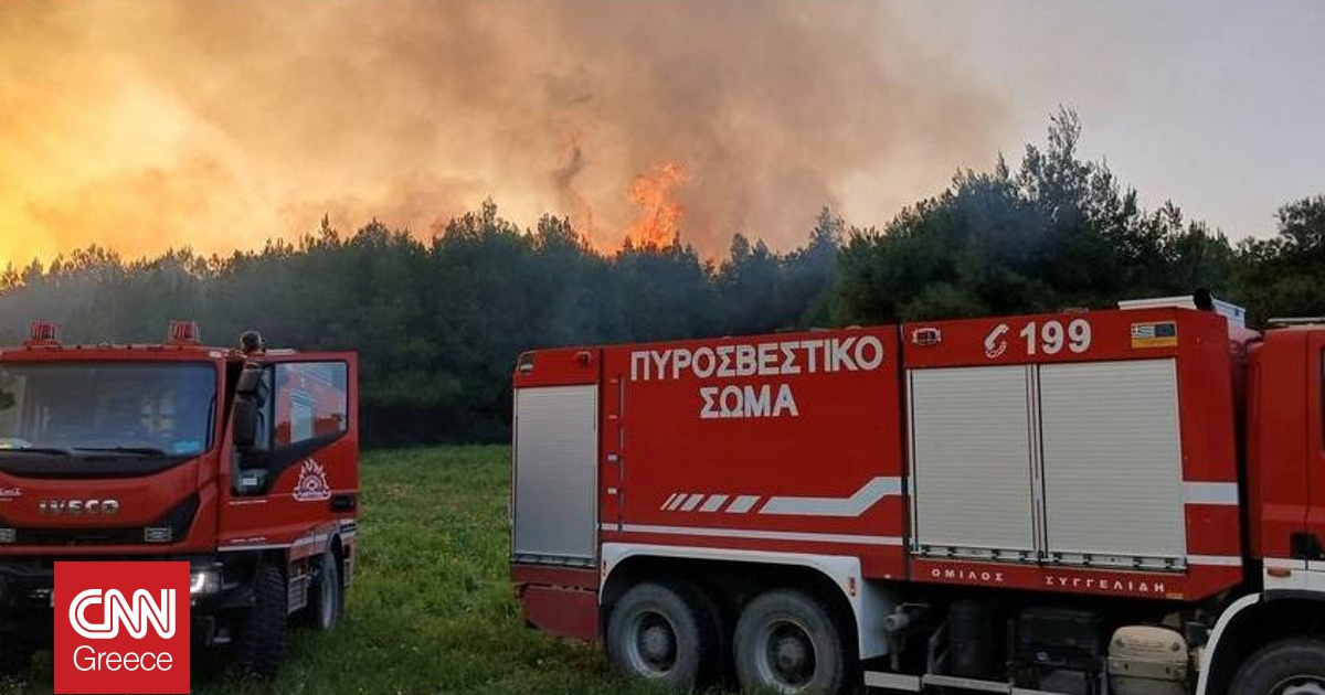 Ζάκυνθος: Πυρκαγιά σε δασική έκταση στο Κοιλιωμένο Ζάκυνθος: Πυρκαγιά σε δασική έκταση στο Κοιλιωμένο