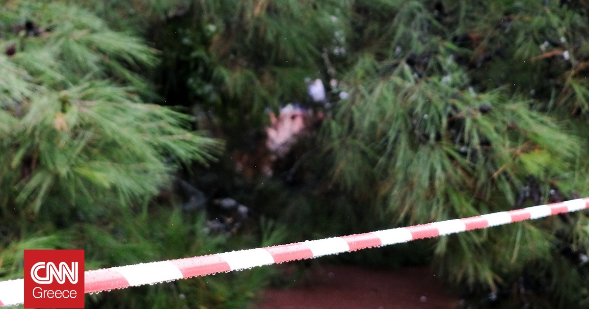 Θεσσαλονίκη: Δέντρο έπεσε και καταπλάκωσε αυτοκίνητα