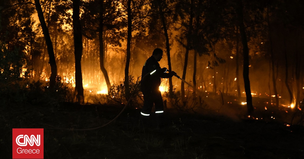 Φωτιά στην Αμαλιάδα: Οριοθετήθηκε το πιο επικίνδυνο μέτωπο στο Γεράκι – Μάχη με διάσπαρτες εστίες