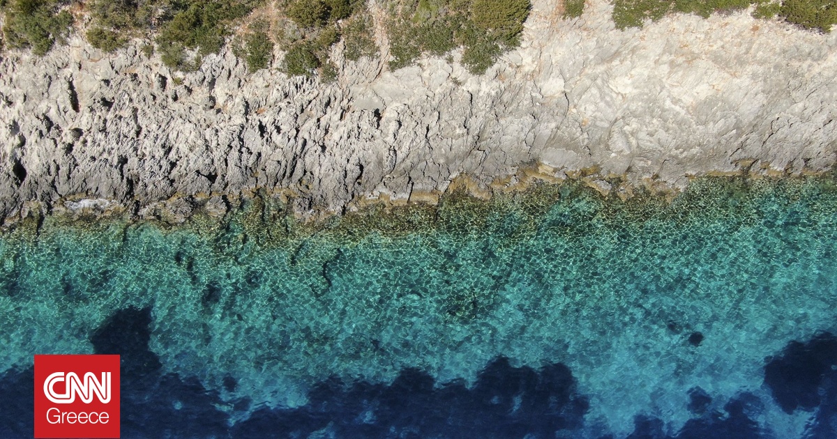 Η Ελλάδα αποκτά νέα θαλάσσια πάρκα: Πού θα δημιουργηθούν, ποια η οικολογική τους σημασία (χάρτες) Η Ελλάδα αποκτά νέα θαλάσσια πάρκα: Πού θα δημιουργηθούν, ποια η οικολογική τους σημασία (χάρτες)