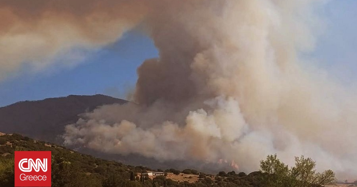 Μικρές εστίες στη φωτιά στον Φενεό – Παραμένουν σε επιφυλακή οι πυροσβεστικές δυνάμεις