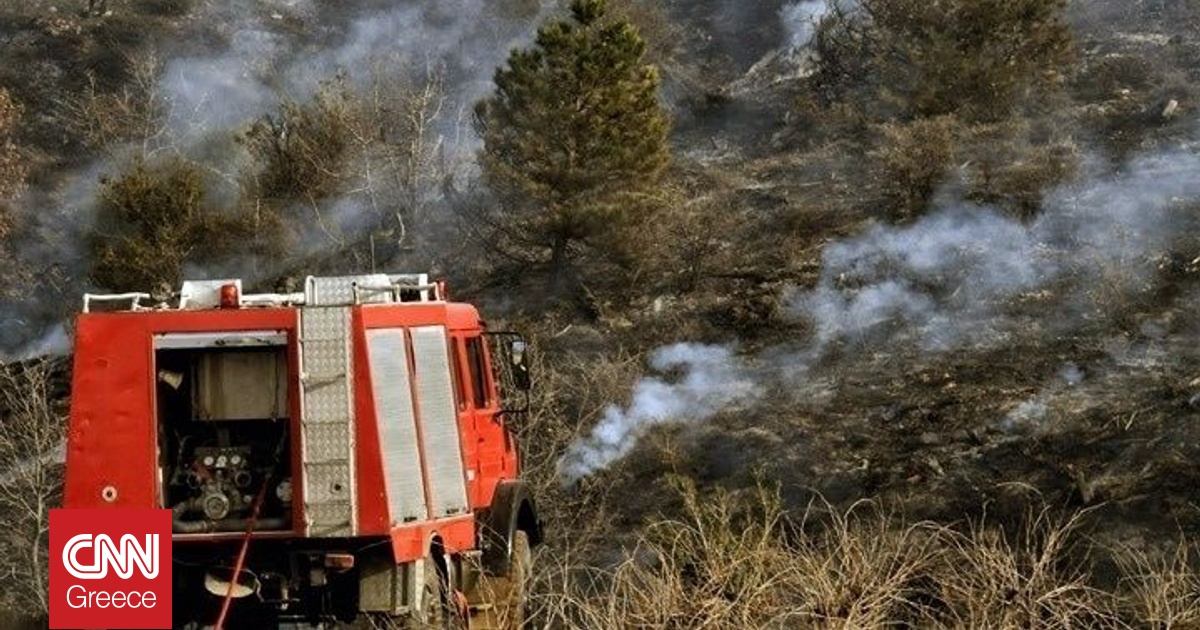 Θεσσαλονίκη: Η φωτιά στην Άσσηρο έφτασε στην Παλαιά Εθνική Οδό