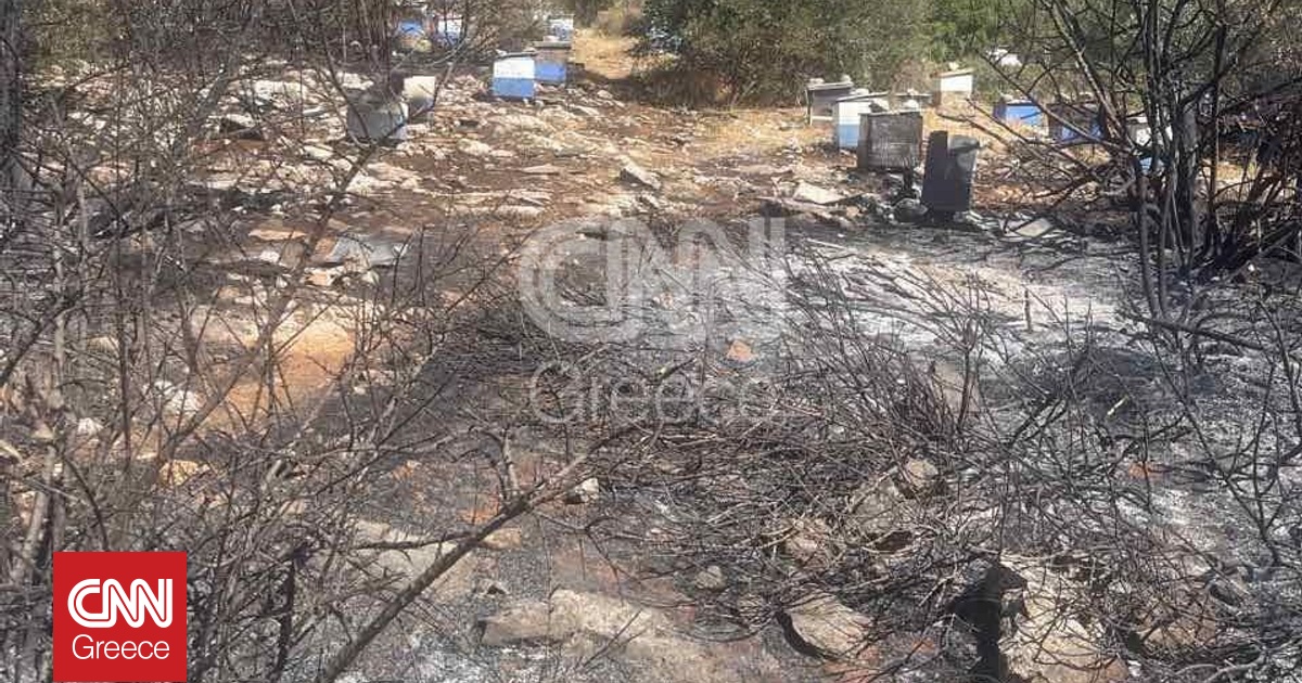 Από αδήλωτα μελίσσια εντός της Πολυτεχνειούπολης ξεκίνησε η φωτιά στον Υμηττό