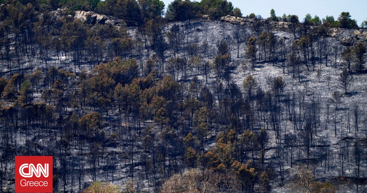 Συνεχίζεται η «μάχη» με τις φλόγες στη νότια Γαλλία – Μία νεκρή, τραυματίες και καμένα στρέμματα γης