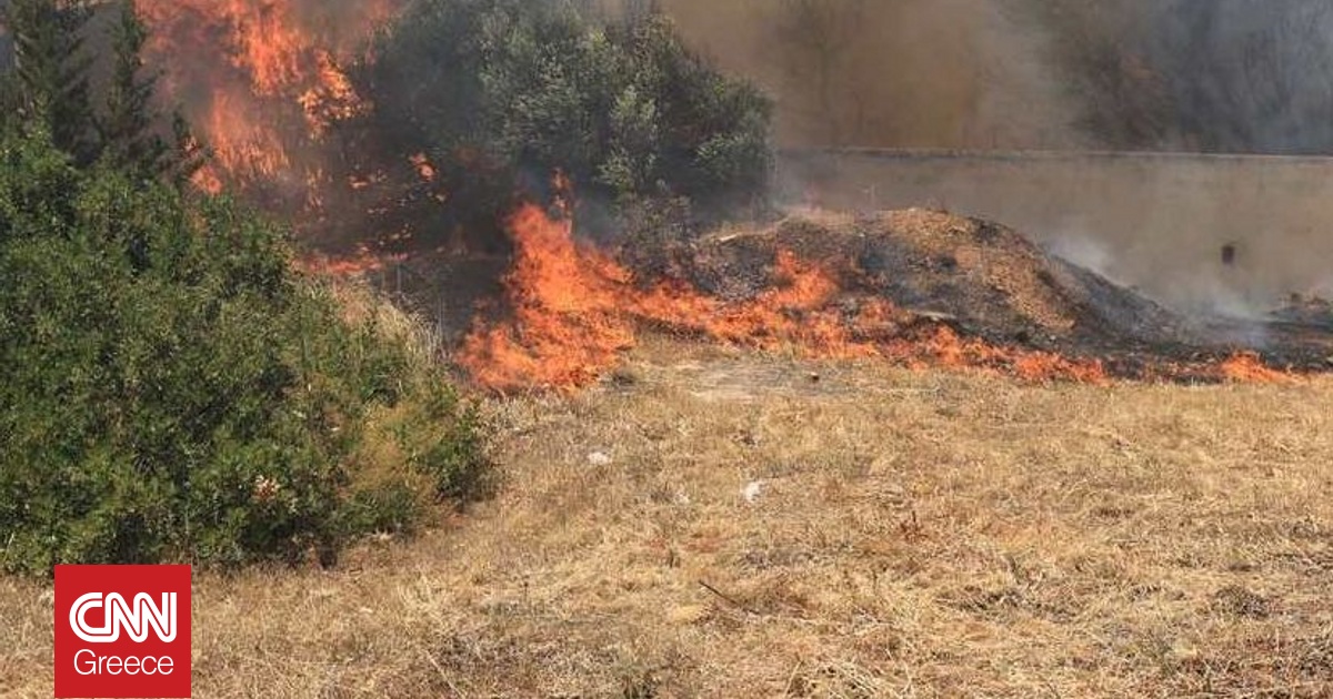 Φωτιά στην Ηλεία: Μάχη με τις αναζωπυρώσεις σε Αρχαία Ολυμπία, Χελιδόνι και Ηράκλεια