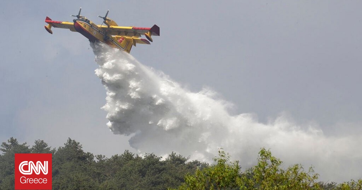 Πυρκαγιά στον Βεζούβιο: Μεγάλη κινητοποίηση της Πολιτικής Προστασίας – Νέες εκρήξεις από την Αίτνα Πυρκαγιά στον Βεζούβιο: Μεγάλη κινητοποίηση της Πολιτικής Προστασίας – Νέες εκρήξεις από την Αίτνα