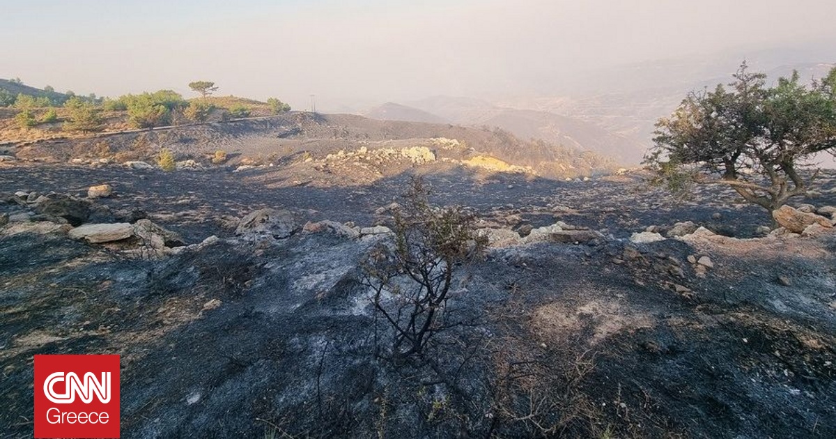 Σε έκταση 95.500 στρεμμάτων τα πύρινα μέτωπα του τελευταίου 24ώρου