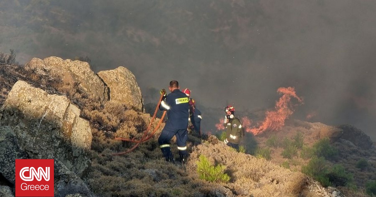 Ξεκίνησαν οι αυτοψίες στις περιοχές που επλήγησαν από τις πυρκαγιές