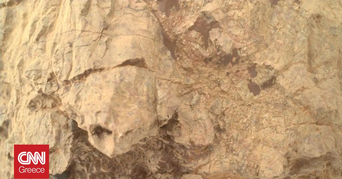 Μια «χελώνα» φωτογράφισε το ρόβερ Perseverance σε αρχαίους βράχους του Άρη Μια «χελώνα» φωτογράφισε το ρόβερ Perseverance σε αρχαίους βράχους του Άρη