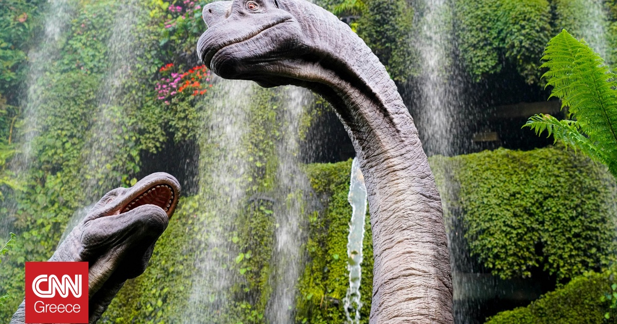 Αργεντινή: Στο φως σχεδόν πλήρης σκελετός δεινοσαύρου – Από τους παλαιότερους που έχουν ανακαλυφθεί Αργεντινή: Στο φως σχεδόν πλήρης σκελετός δεινοσαύρου – Από τους παλαιότερους που έχουν ανακαλυφθεί