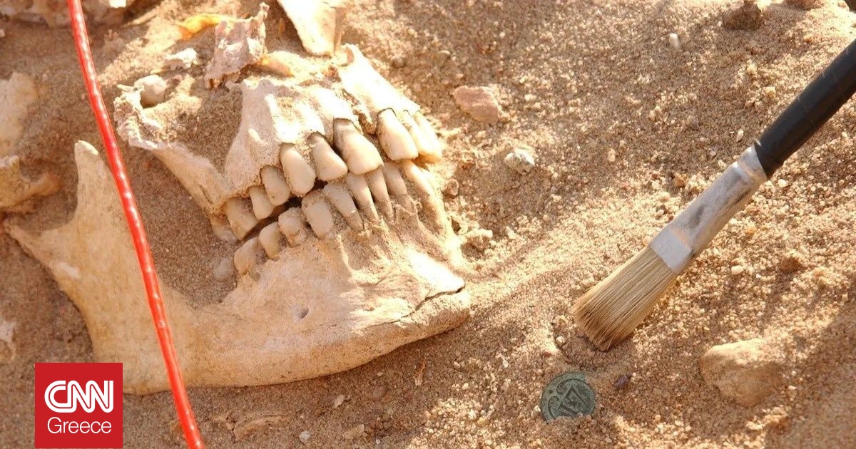 DNA από τα δόντια του στρατού του Ναπολέοντα αποκάλυψε ότι δεν πέθαναν από τύφο, όπως νομίζαμε DNA από τα δόντια του στρατού του Ναπολέοντα αποκάλυψε ότι δεν πέθαναν από τύφο, όπως νομίζαμε