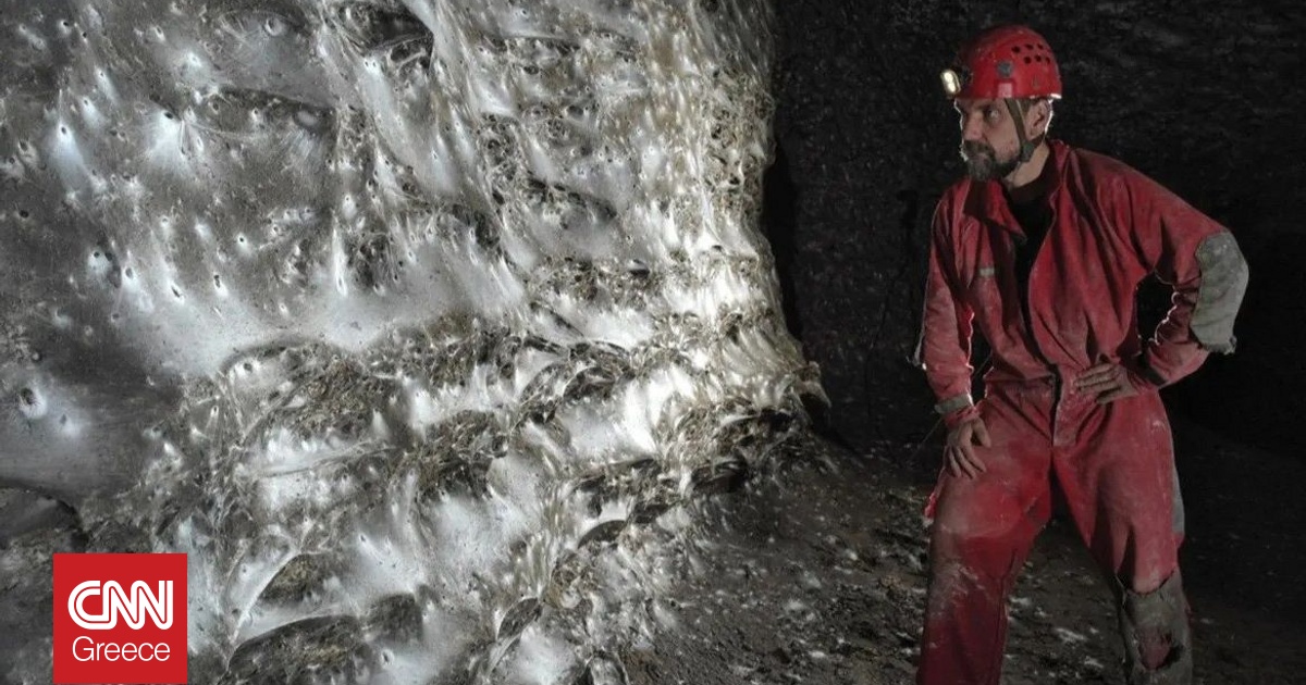 Ο μεγαλύτερος ιστός, με 111.000 αράχνες, βρίσκεται σε ένα σπήλαιο στα σύνορα Ελλάδας – Αλβανίας