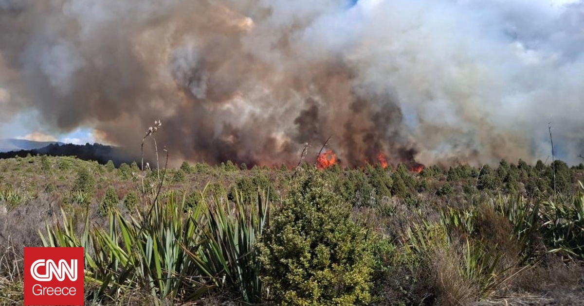 Μεγάλη πυρκαγιά σε εθνικό πάρκο της Νέας Ζηλανδίας – Στάχτη 11.000 στρέμματα