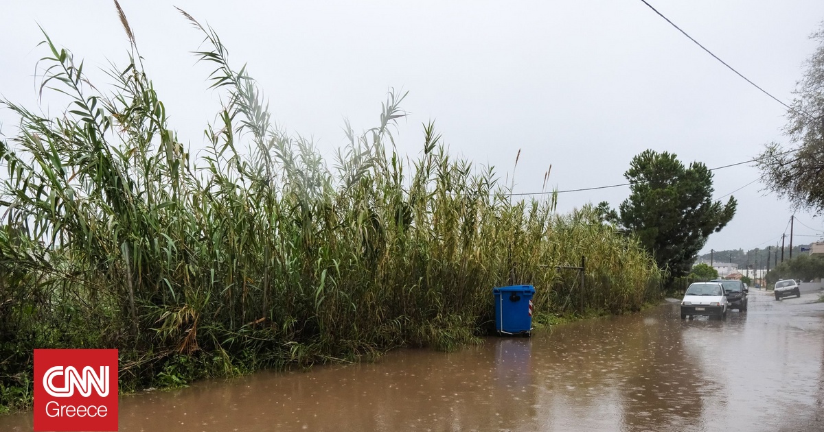 Μυτιλήνη: Πλημμύρισαν σπίτια στην Καλλονή και στη Σκάλα από την κακοκαιρία – Κλειστά σχολεία