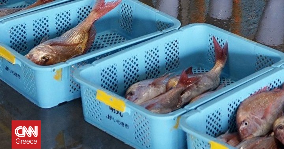 Διπλωματική ένταση ανάμεσα σε Ιαπωνία και Κίνα – Το Πεκίνο «παγώνει» τις εισαγωγές θαλασσινών