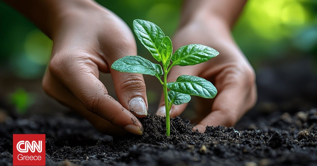 «Φυτεύουμε το αύριο»: Μαθητές στη Νέα Φιλαδέλφεια δίνουν ζωή στην καταλήξη αντιπλημμυρικού έργου
