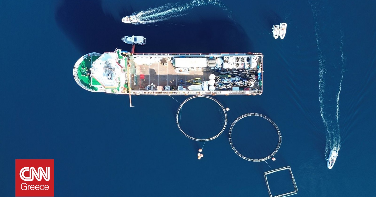 «Typhoon Project»: 40 τόνοι απορριμμάτων απομακρύνθηκαν από εγκαταλελειμμένη ιχθυοκαλλιέργεια