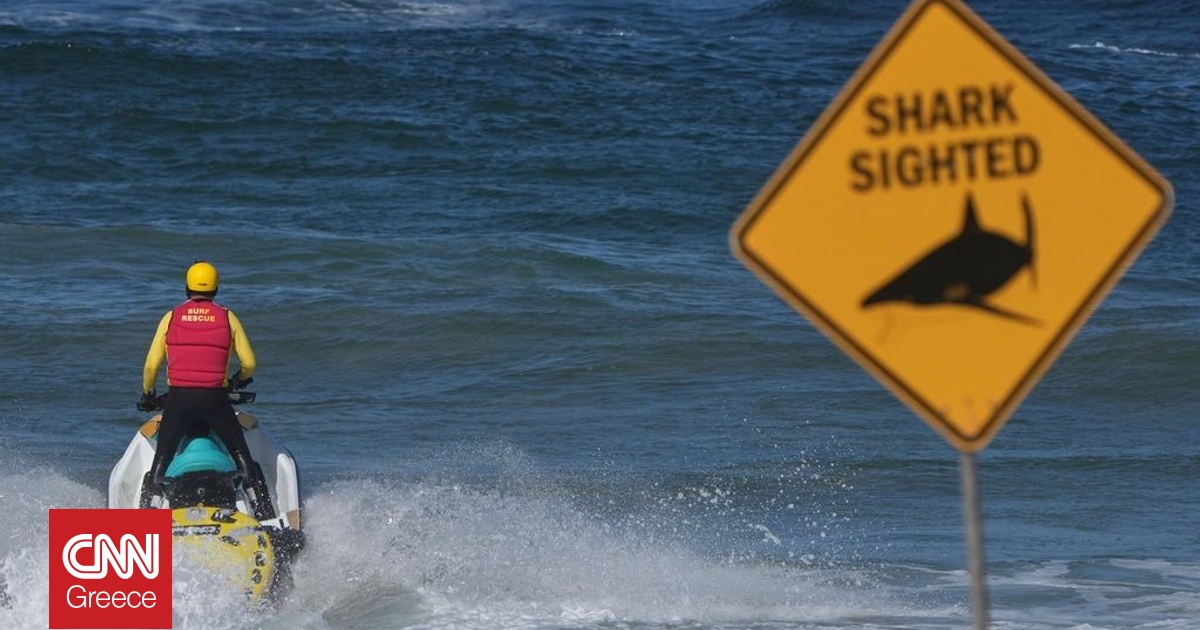 Αυστραλία: Μία νεκρή και ένας σοβαρά τραυματίας από επίθεση καρχαρία