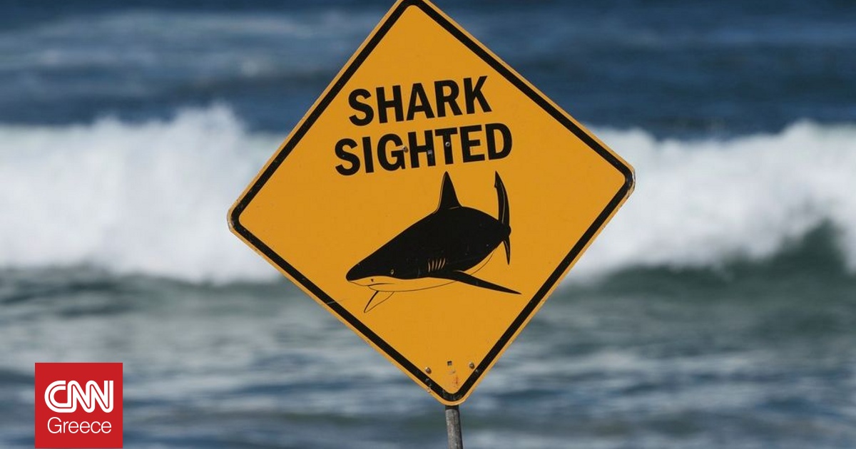 Αυστραλία: Ελβετίδα η νεαρή γυναίκα που έχασε τη ζωή της από επίθεση καρχαρία