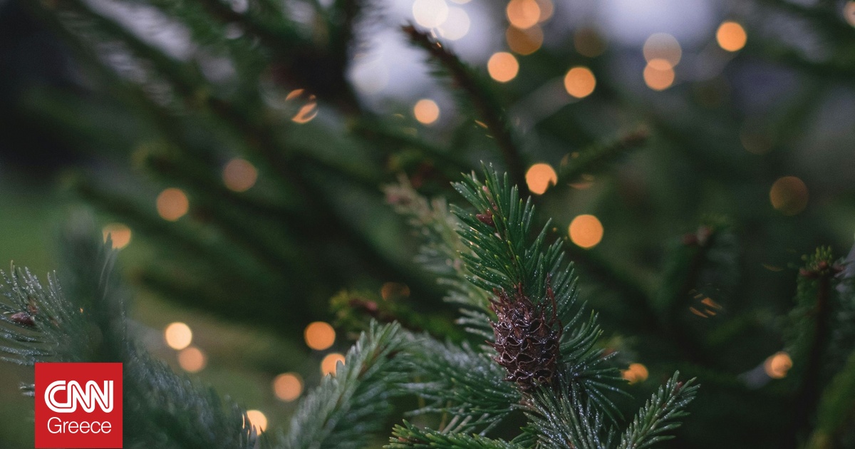 Φαντασμαγορικές Χριστουγεννιάτικες Εκδηλώσεις από το Δήμο Βάρης Βούλας Βουλιαγμένης