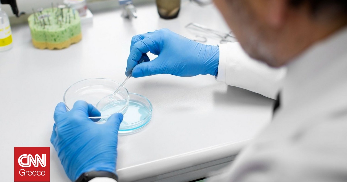 Κυτταρικές θεραπείες: Τι καινούριο φέρνουν σε σοβαρά νοσήματα – Εξηγεί ο καθηγητής Π. Τσιριγώτης