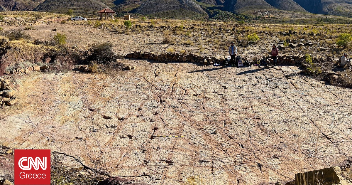 Πάνω από 16.000 ίχνη βρέθηκαν σε έναν «αυτοκινητόδρομο δεινοσαύρων» στη Βολιβία