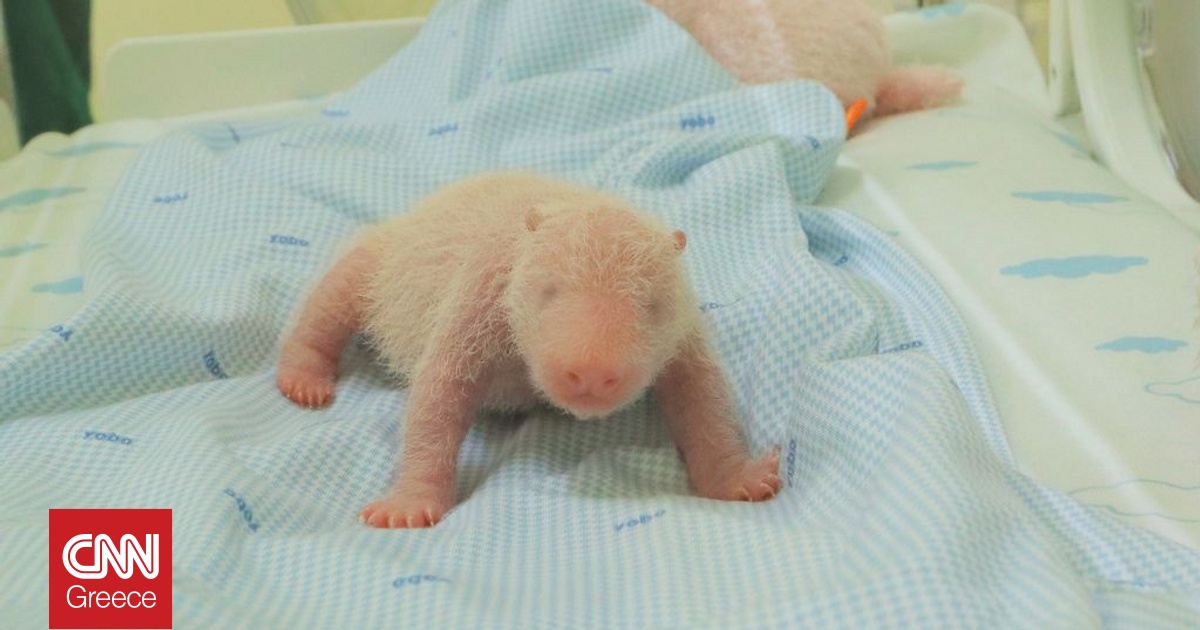 Μικρό θαύμα στην Ιάβα: Γεννήθηκε το πρώτο μωρό πάντα της Ινδονησίας