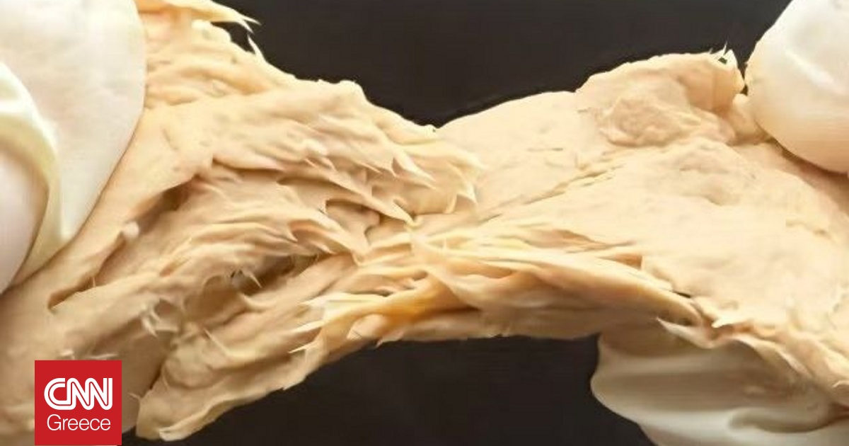 «Κρέας» από μύκητα που μπορεί να αντικαταστήσει το κοτόπουλο, ανέπτυξαν Κινέζοι επιστήμονες