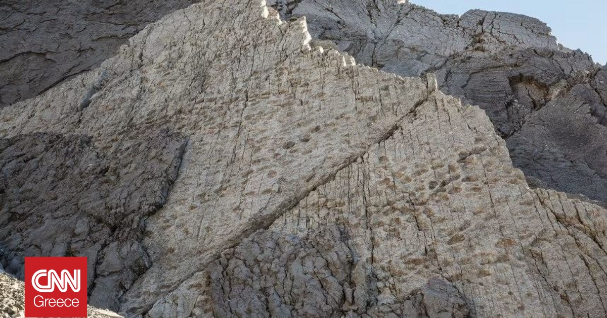 Φωτογράφος ανακάλυψε κατά τύχη 20.000 ίχνη δεινοσαύρων σε εθνικό πάρκο της Ιταλίας