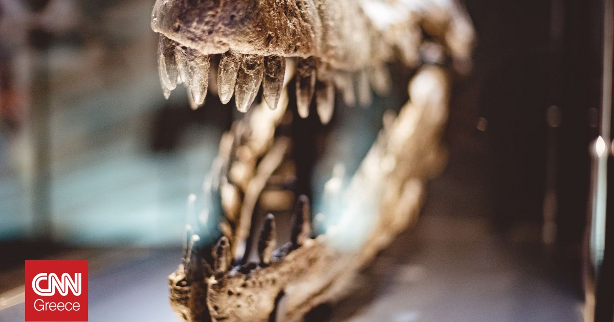 44 νέα είδη δεινοσαύρων ανακαλύφθηκαν το 2025 – Αυτά ήταν τα κορυφαία ευρήματα