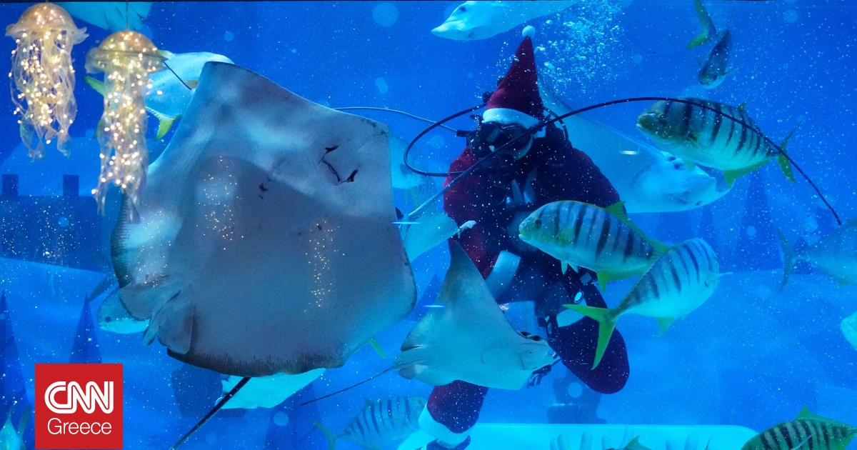 Από την Κύπρο, μέχρι τη Βραζιλία: «Υποβρύχιοι» Άη Βασίληδες στέλνουν από τον βυθό ευχές