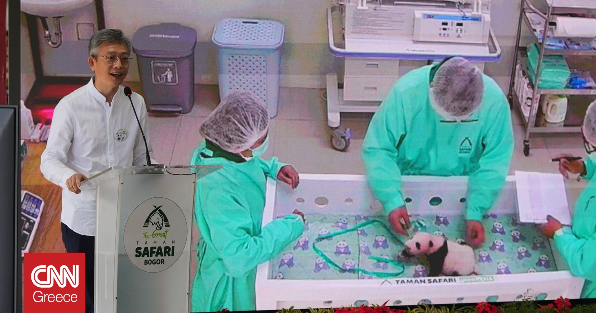 Για πρώτη φορά εκτός θερμοκοιτίδας το πρώτο μωρό πάντα της Ινδονησίας