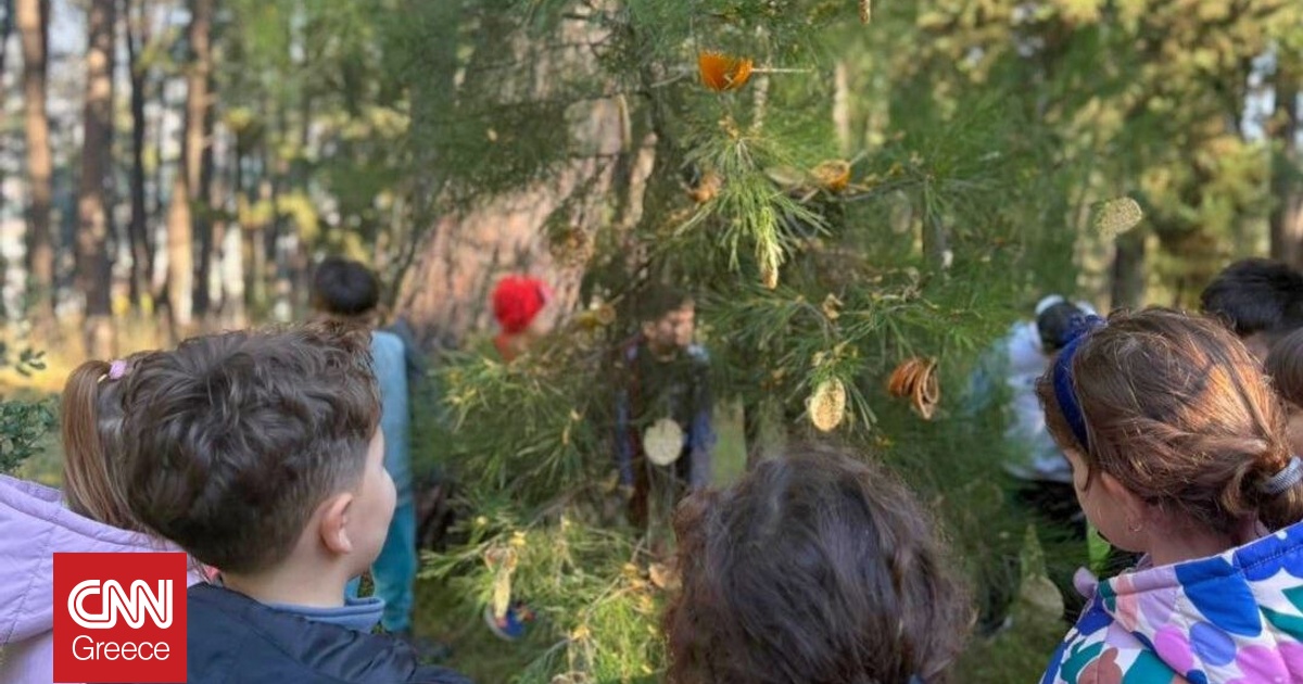 Μαθητές γεμίζουν «δεντρο-λιχουδιές» σχολικές αυλές, πάρκα και μικρά δάση