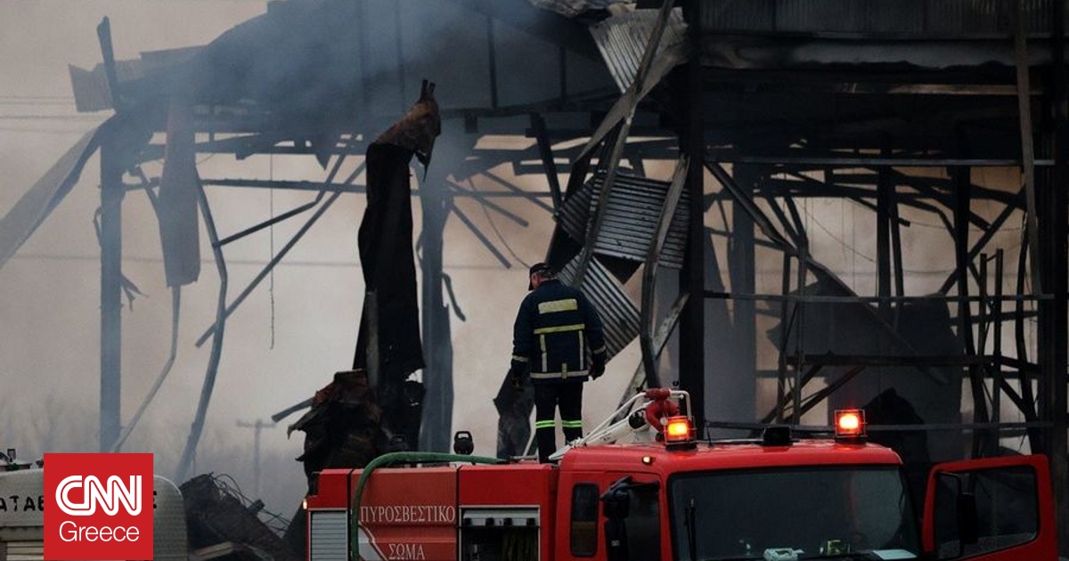 &Phi;&omicron;&nu;&iota;&kappa;ή έ&kappa;&rho;&eta;&xi;&eta; &sigma;&tau;&eta; &laquo;&Beta;&iota;&omicron;&lambda;ά&nu;&tau;&alpha;&raquo;: &Tau;&alpha; &sigma;&epsilon;&nu;ά&rho;&iota;&alpha;, &tau;&alpha; &mu;&omicron;&iota;&rho;&alpha;ί&alpha; &epsilon;&rho;&omega;&tau;ή&mu;&alpha;&tau;&alpha; &kappa;&alpha;&iota; &tau;&alpha; &pi;&rho;ό&sigma;&omega;&pi;&alpha; &tau;&eta;&sigmaf; &tau;&rho;&alpha;&gamma;&omega;&delta;ί&alpha;&sigmaf;