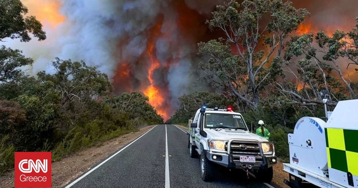 &Pi;&rho;&omega;&tau;&omicron;&phi;&alpha;&nu;έ&sigmaf; &kappa;ύ&mu;&alpha; &kappa;&alpha;ύ&sigma;&omega;&nu;&alpha; &pi;&upsilon;&rho;&omicron;&delta;&omicron;&tau;&epsilon;ί &pi;&upsilon;&rho;&kappa;&alpha;&gamma;&iota;έ&sigmaf; &sigma;&tau;&eta;&nu; &Alpha;&upsilon;&sigma;&tau;&rho;&alpha;&lambda;ί&alpha; - &Sigma;&tau;&omicron;&upsilon;&sigmaf; 48,9 &beta;&alpha;&theta;&mu;&omicron;ύ&sigmaf; &sigma;&tau;&eta; &Beta;&iota;&kappa;&tau;ό&rho;&iota;&alpha;