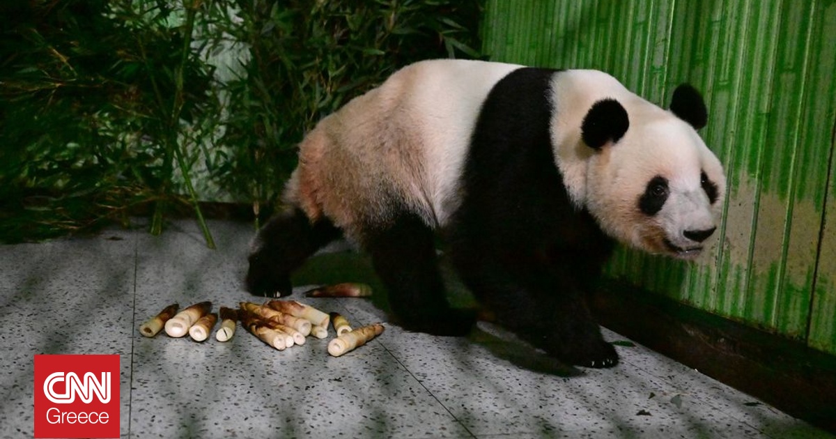 Έ&phi;&tau;&alpha;&sigma;&alpha;&nu; &sigma;&tau;&eta;&nu; &Kappa;ί&nu;&alpha; &tau;&alpha; &delta;ί&delta;&upsilon;&mu;&alpha; &pi;ά&nu;&tau;&alpha; &Sigma;&iota;ά&omicron; &Sigma;&iota;ά&omicron; &kappa;&alpha;&iota; &Lambda;έ&iota; &Lambda;έ&iota; - &Omicron;&iota; &pi;&rho;ώ&tau;&epsilon;&sigmaf; &phi;&omega;&tau;&omicron;&gamma;&rho;&alpha;&phi;ί&epsilon;&sigmaf; &tau;&omicron;&upsilon;&sigmaf;