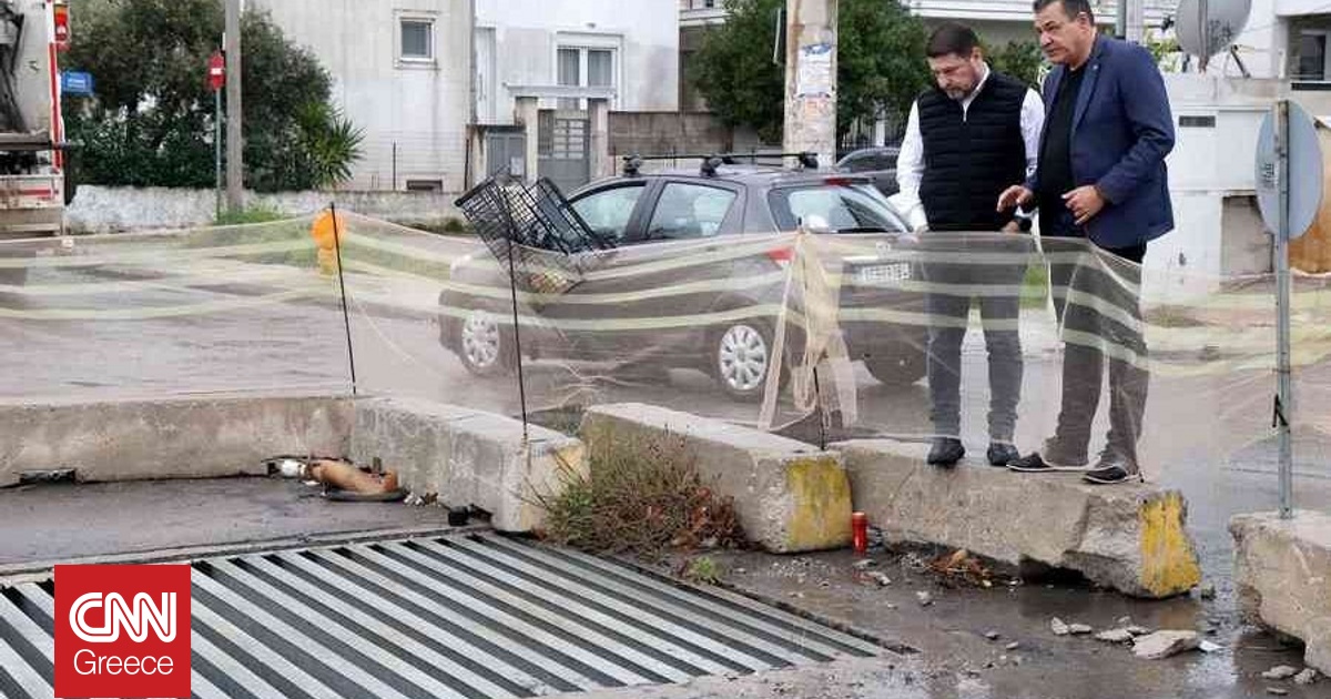 &Alpha;&upsilon;&tau;&omicron;&psi;ί&alpha; &Chi;&alpha;&rho;&delta;&alpha;&lambda;&iota;ά &sigma;&epsilon; έ&rho;&gamma;&alpha; &alpha;&nu;&tau;&iota;&pi;&lambda;&eta;&mu;&mu;&upsilon;&rho;&iota;&kappa;ή&sigmaf; &pi;&rho;&omicron;&sigma;&tau;&alpha;&sigma;ί&alpha;&sigmaf; &sigma;&tau;&eta; &Phi;&upsilon;&lambda;ή: &Sigma;&tau;&alpha; 61,8 &epsilon;&kappa;&alpha;&tau;. &epsilon;&upsilon;&rho;ώ &omicron;&iota; &pi;&alpha;&rho;&epsilon;&mu;&beta;ά&sigma;&epsilon;&iota;&sigmaf;