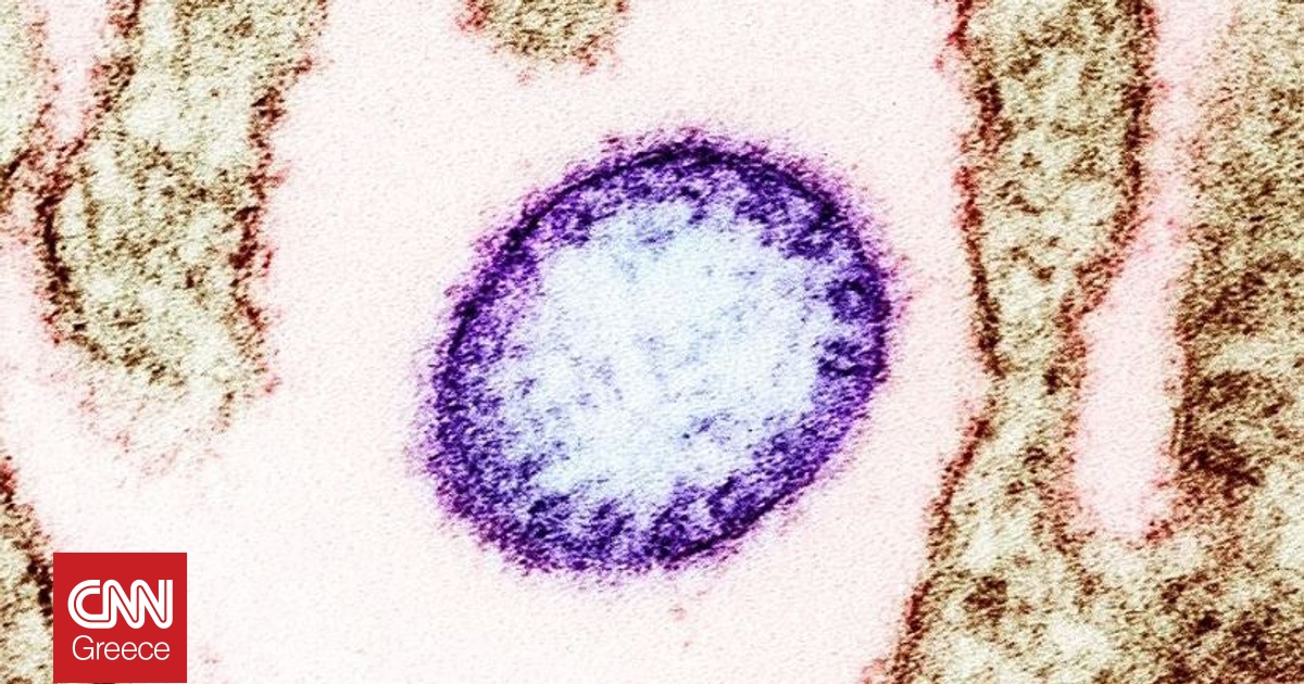 &Tau;&iota; &epsilon;ί&nu;&alpha;&iota; &omicron; &iota;ό&sigmaf; &Nu;ί&pi;&alpha; &kappa;&alpha;&iota; &pi;ό&sigma;&omicron; &kappa;&iota;&nu;&delta;&upsilon;&nu;&epsilon;ύ&omicron;&upsilon;&mu;&epsilon;; &Epsilon;&pi;&tau;ά &epsilon;&rho;&omega;&tau;ή&sigma;&epsilon;&iota;&sigmaf; - &alpha;&pi;&alpha;&nu;&tau;ή&sigma;&epsilon;&iota;&sigmaf; &mu;&epsilon; ό&sigma;&alpha; &pi;&rho;έ&pi;&epsilon;&iota; &nu;&alpha; &xi;έ&rho;&omicron;&upsilon;&mu;&epsilon;