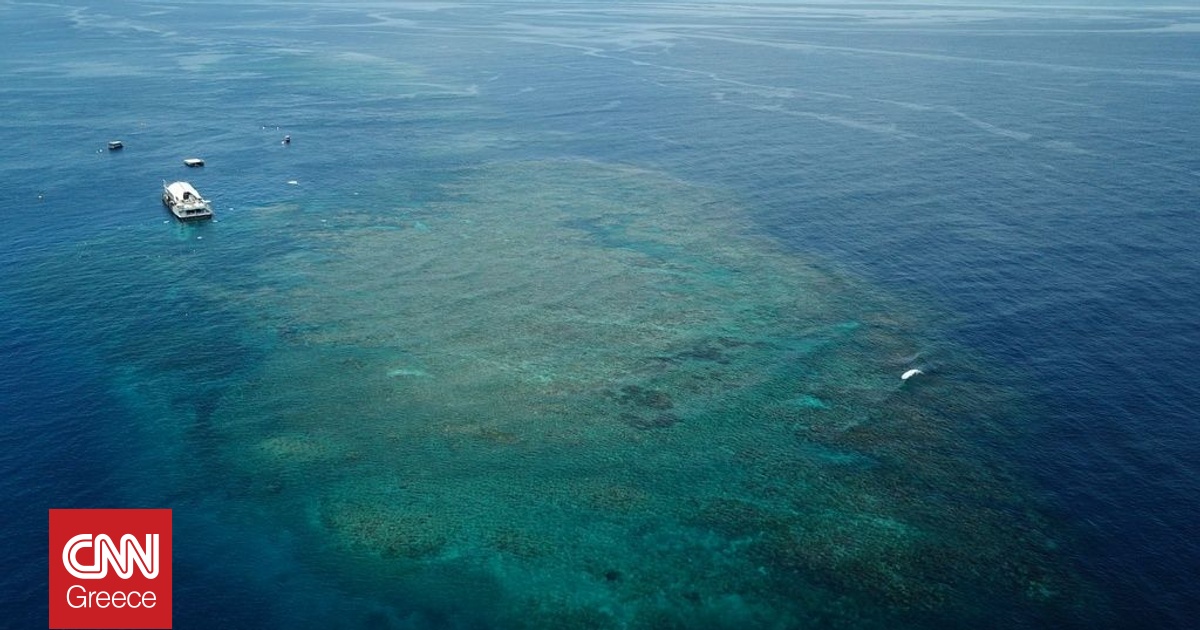 &Alpha;&upsilon;&sigma;&tau;&rho;&alpha;&lambda;ί&alpha;: 13&chi;&rho;&omicron;&nu;&omicron;&sigmaf; &kappa;&omicron;&lambda;ύ&mu;&pi;&eta;&sigma;&epsilon; 4 &chi;&iota;&lambda;&iota;ό&mu;&epsilon;&tau;&rho;&alpha; &gamma;&iota;&alpha; &nu;&alpha; &sigma;ώ&sigma;&epsilon;&iota; &tau;&eta;&nu; &mu;&eta;&tau;έ&rho;&alpha; &kappa;&alpha;&iota; &tau;&alpha; &alpha;&delta;έ&rho;&phi;&iota;&alpha; &tau;&omicron;&upsilon;