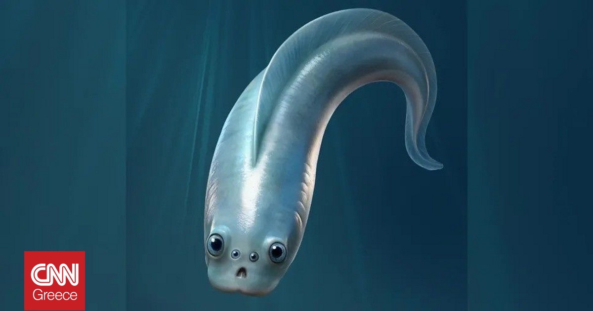 &Omicron;&iota; &pi;&rho;ώ&tau;&omicron;&iota; &gamma;&nu;&omega;&sigma;&tau;&omicron;ί &pi;&rho;ό&gamma;&omicron;&nu;&omicron;&iota; &tau;&omicron;&upsilon; &alpha;&nu;&theta;&rho;ώ&pi;&omicron;&upsilon; &epsilon;ί&chi;&alpha;&nu; 4 &mu;ά&tau;&iota;&alpha;, &sigma;ύ&mu;&phi;&omega;&nu;&alpha; &mu;&epsilon; &alpha;&pi;&omicron;&lambda;&iota;&theta;ώ&mu;&alpha;&tau;&alpha; 500 &epsilon;&kappa;&alpha;&tau;. &epsilon;&tau;ώ&nu;