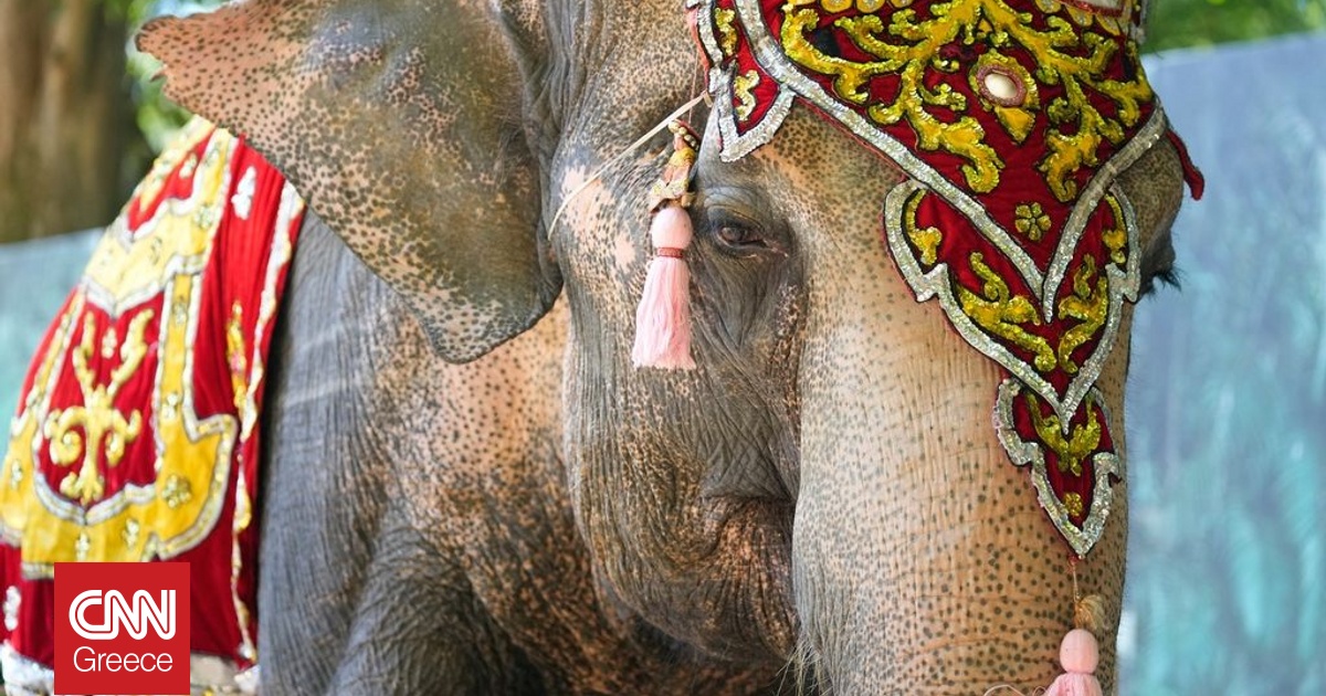 &Iota;&nu;&delta;ί&alpha;: Viral &beta;ί&nu;&tau;&epsilon;&omicron; &pi;&omicron;&upsilon; &delta;&epsilon;ί&chi;&nu;&epsilon;&iota; &epsilon;&lambda;έ&phi;&alpha;&nu;&tau;&alpha; &nu;&alpha; &epsilon;&kappa;&sigma;&phi;&epsilon;&nu;&delta;&omicron;&nu;ί&zeta;&epsilon;&iota; ά&nu;&delta;&rho;&alpha; &sigma;&epsilon; &theta;&rho;&eta;&sigma;&kappa;&epsilon;&upsilon;&tau;&iota;&kappa;ό &phi;&epsilon;&sigma;&tau;&iota;&beta;ά&lambda;