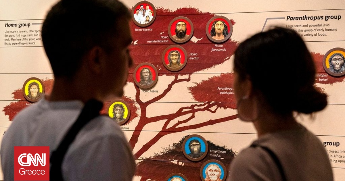 &Sigma;&tau;&alpha; ί&chi;&nu;&eta; &tau;&eta;&sigmaf; &pi;&rho;&omicron;ϊ&sigma;&tau;&omicron;&rho;&iota;&kappa;ή&sigmaf; &gamma;&alpha;&sigma;&tau;&rho;&omicron;&nu;&omicron;&mu;ί&alpha;&sigmaf;: &Mu;&epsilon;&lambda;έ&tau;&eta; &alpha;&pi;&omicron;&kappa;&alpha;&lambda;ύ&pi;&tau;&epsilon;&iota; &tau;&iota; &mu;&alpha;&gamma;&epsilon;ί&rho;&epsilon;&upsilon;&alpha;&nu; &omicron;&iota; &Epsilon;&upsilon;&rho;&omega;&pi;&alpha;ί&omicron;&iota;