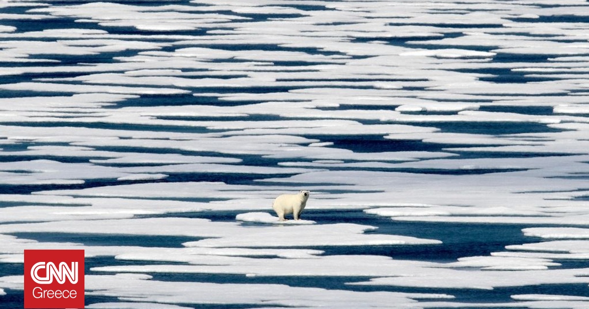 &Iota;&sigma;&tau;&omicron;&rho;&iota;&kappa;ό &rho;&epsilon;&kappa;ό&rho; &gamma;&iota;&alpha; &tau;&omicron; &lambda;&iota;ώ&sigma;&iota;&mu;&omicron; &tau;&omega;&nu; &pi;ά&gamma;&omega;&nu; &sigma;&tau;&eta;&nu; &Alpha;&rho;&kappa;&tau;&iota;&kappa;ή: &Sigma;&tau;&omicron; &chi;&alpha;&mu;&eta;&lambda;ό&tau;&epsilon;&rho;&omicron; &epsilon;&pi;ί&pi;&epsilon;&delta;&omicron; &tau;&omega;&nu; &tau;&epsilon;&lambda;&epsilon;&upsilon;&tau;&alpha;ί&omega;&nu; 48 &epsilon;&tau;ώ&nu;