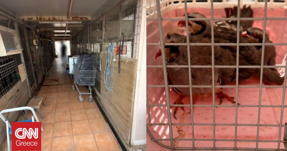 &Delta;&iota;&kappa;&omicron;&gamma;&rho;&alpha;&phi;ί&alpha; &gamma;&iota;&alpha; &tau;&eta;&nu; &pi;&alpha;&rho;ά&nu;&omicron;&mu;&eta; &epsilon;&kappa;&tau;&rho;&omicron;&phi;ή &zeta;ώ&omega;&nu; &sigma;&epsilon; &tau;&alpha;&rho;ά&tau;&sigma;&alpha; &kappa;&tau;&eta;&rho;ί&omicron;&upsilon; &sigma;&tau;&omicron;&upsilon;&sigmaf; &Alpha;&mu;&pi;&epsilon;&lambda;ό&kappa;&eta;&pi;&omicron;&upsilon;&sigmaf;