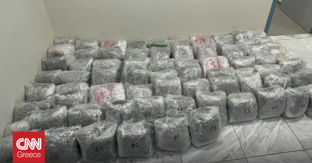 &Kappa;&omicron;&zeta;ά&nu;&eta;: &Alpha;&nu;&theta;&rho;&omega;&pi;&omicron;&kappa;&upsilon;&nu;&eta;&gamma;&eta;&tau;ό &gamma;&iota;&alpha; &tau;&omicron;&nu; &epsilon;&nu;&tau;&omicron;&pi;&iota;&sigma;&mu;ό 43&chi;&rho;&omicron;&nu;&omicron;&upsilon; &delta;&iota;&alpha;&kappa;&iota;&nu;&eta;&tau;ή &nu;&alpha;&rho;&kappa;&omega;&tau;&iota;&kappa;ώ&nu; - &Beta;&rho;έ&theta;&eta;&kappa;&alpha;&nu; 76 &kappa;&iota;&lambda;ά &kappa;ά&nu;&nu;&alpha;&beta;&eta;